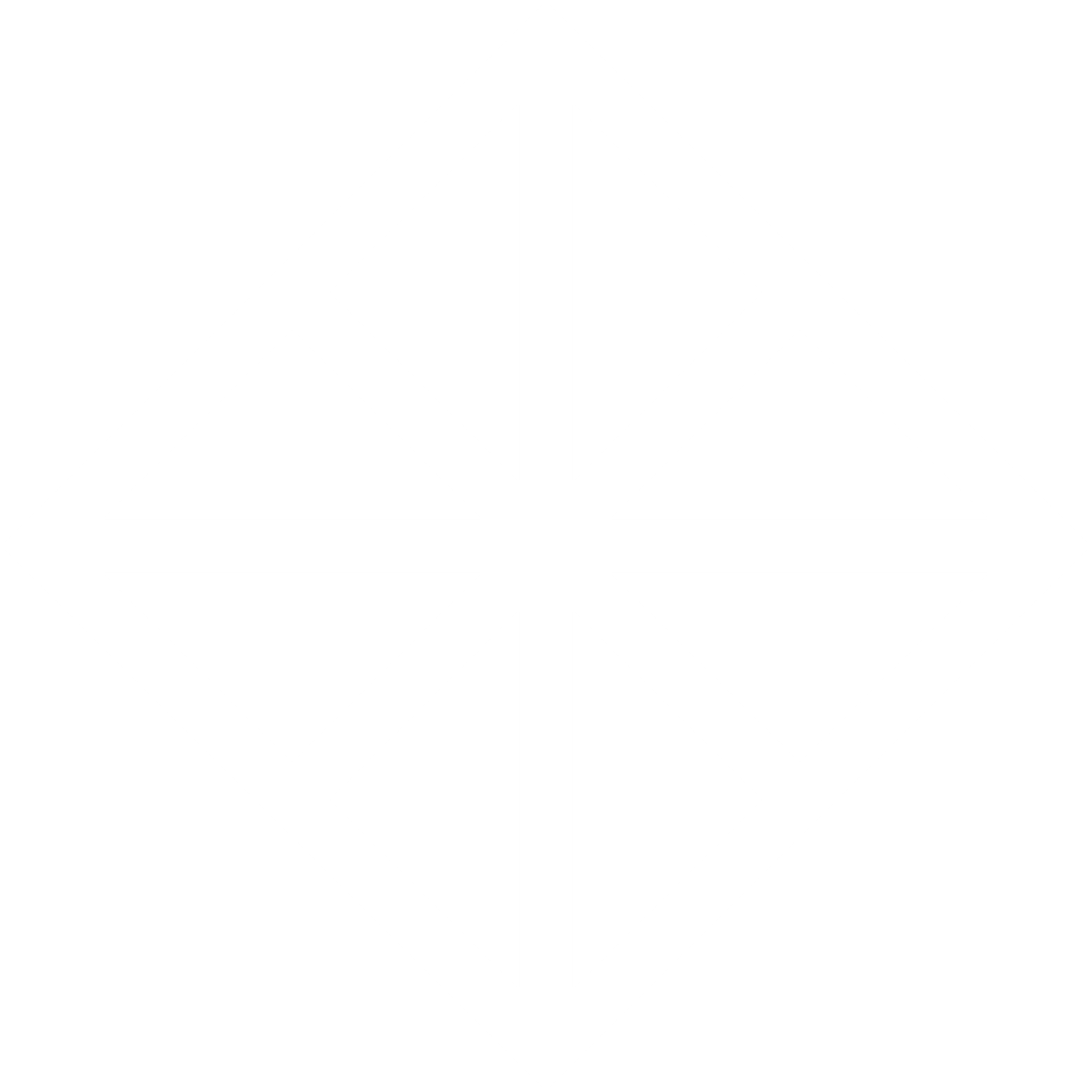 Patrick McAuley Logo icon White