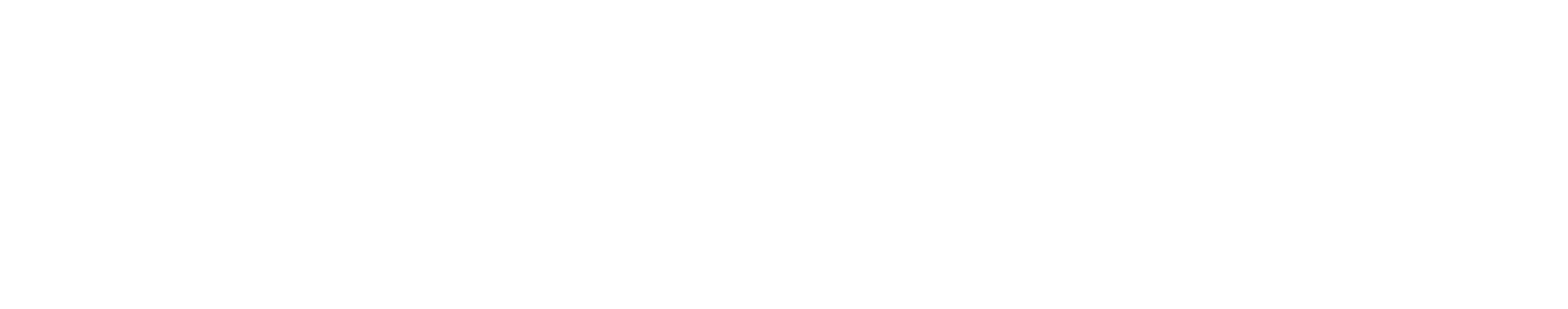 Patrick McAuley Group of Realtors