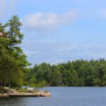 The Kawarthas Community represented by Patrick McAuley