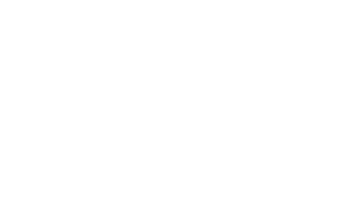 partner_brand-LPI