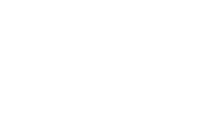 partner_brand-leading