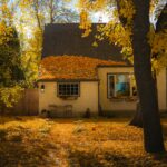 A house under autumn leaves